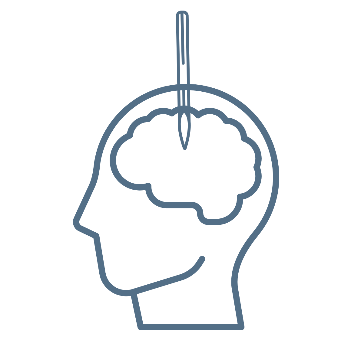 A graphic of the profile of a human head with the outline of a brain and a surgical tool entering from the top of the head.